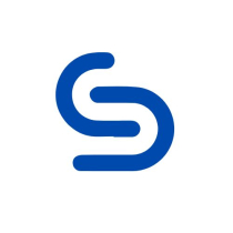  Letter S Professional Logo  Design Screenshot 9