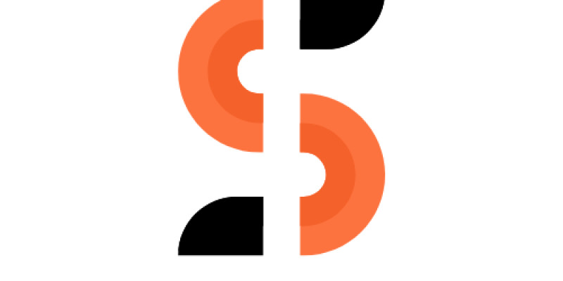  Letter S Professional Logo  Icon