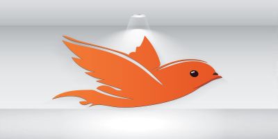 Modern Bird Logo Template Vector