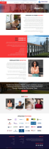 Consultancy - HTML Template Screenshot 8