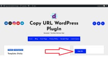 Copy URL WordPress PlugIn Screenshot 2