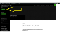Copy URL WordPress PlugIn Screenshot 4