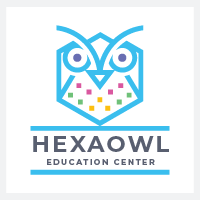 Hexa Owl Logo Pro Template
