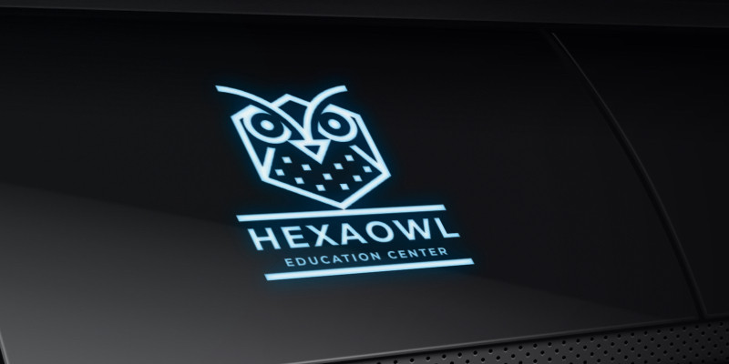 Hexa Owl Logo Pro Template