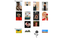 Free Image Search Engine Screenshot 2