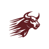 Fast Bull Logo