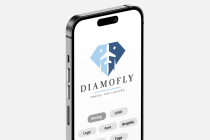 Diamond Fly Travel Logo Screenshot 2