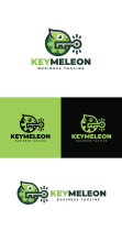 Key Chameleon Logo Template Screenshot 4