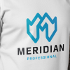 Professional Meridian Letter M Logo