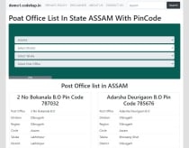 Indian Post Office Pin Code PHP Script Screenshot 3