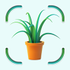 Bloomify - Plant Identifier Android App