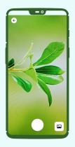 Bloomify - Plant Identifier Android App Screenshot 10