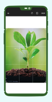 Bloomify - Plant Identifier Android App Screenshot 11