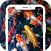 Koi Fish Live Wallpaper AdMob Ads Android