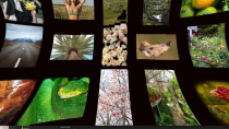 Shader Grid Two WordPress and WooCommerce Plugin Screenshot 6