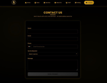 Visa And Travel Agency Website Script Screenshot 13