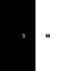SoftMystic - Software Downloads Platform