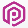 Letter P Hexagon Logo Design v07