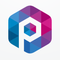 Pro Hexagon Letter P Vector Logo Design