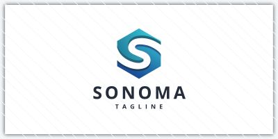 Hexagonal S Letter Logo