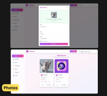Snaporia - Premium Social Media Platform Screenshot 3
