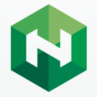 Letter N Hexagon Logo Design Vector v.03