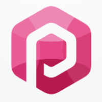Letter P Hexagon Logo Design Vector v.27