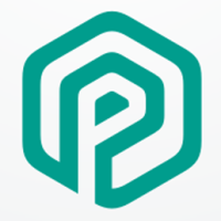 Letter P Hexagon Logo Design Vector v10