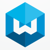 Letter W Hexagon Geometric Logo Design Vector v04
