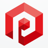 Letter P Hexagon Geometric Logo Design Vector v25
