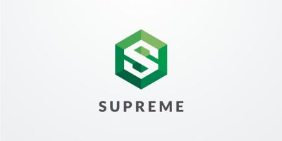 Letter S Hexagon Geometric Logo Design Vector v21