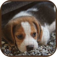Cute Dogs Puzzle - HTML5 Construct Game