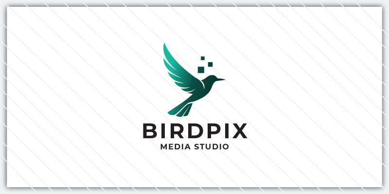Pixel Bird Media Studio Logo