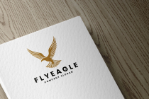 Flying Eagle Pro Logo Screenshot 2