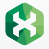 Letter X Hexagon Logo Design Vector v11