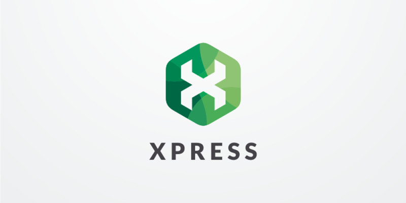 Letter X Hexagon Logo Design Vector v11