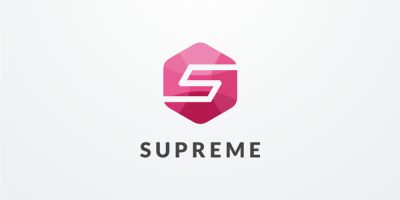 Letter S Hexagon Logo Design Vector v25