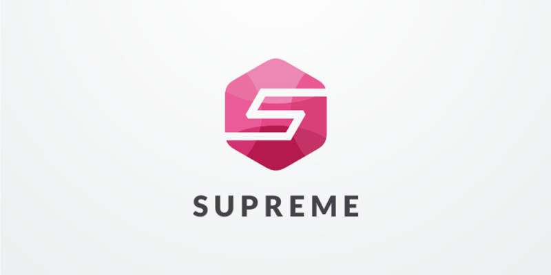 Letter S Hexagon Logo Design Vector v25