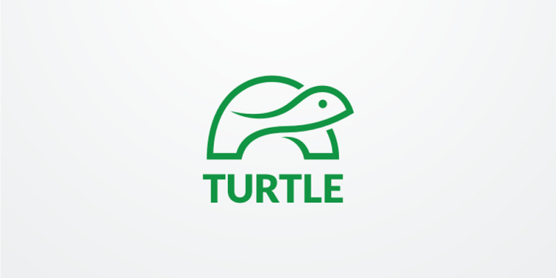 Turtle Logo Design Vector Illustration