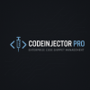 codeinjector-pro-wordpress-code-manager