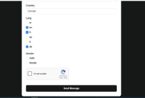 Advanced Contact Form Screenshot 7