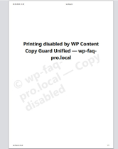 WP Content Copy Guard Unified Screenshot 2