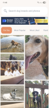 Doggie Gallery - Android Image Gallery App Screenshot 1