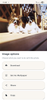 Doggie Gallery - Android Image Gallery App Screenshot 2