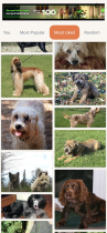 Doggie Gallery - Android Image Gallery App Screenshot 8