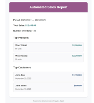 Woo Analytics SaaS - Advanced WooCommerce Report Screenshot 5
