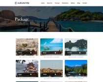 Culture Trip - Booking Elementor Kit Screenshot 4