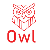 Geometric Owl Logo