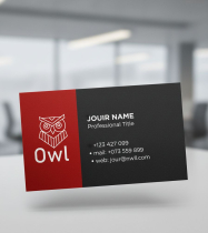 Geometric Owl Logo Screenshot 1