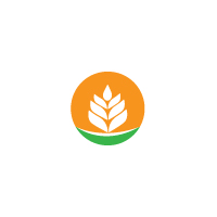 Grain Wheat Logo Concept